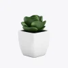 product-image-9_optimized Faucibus Interdum